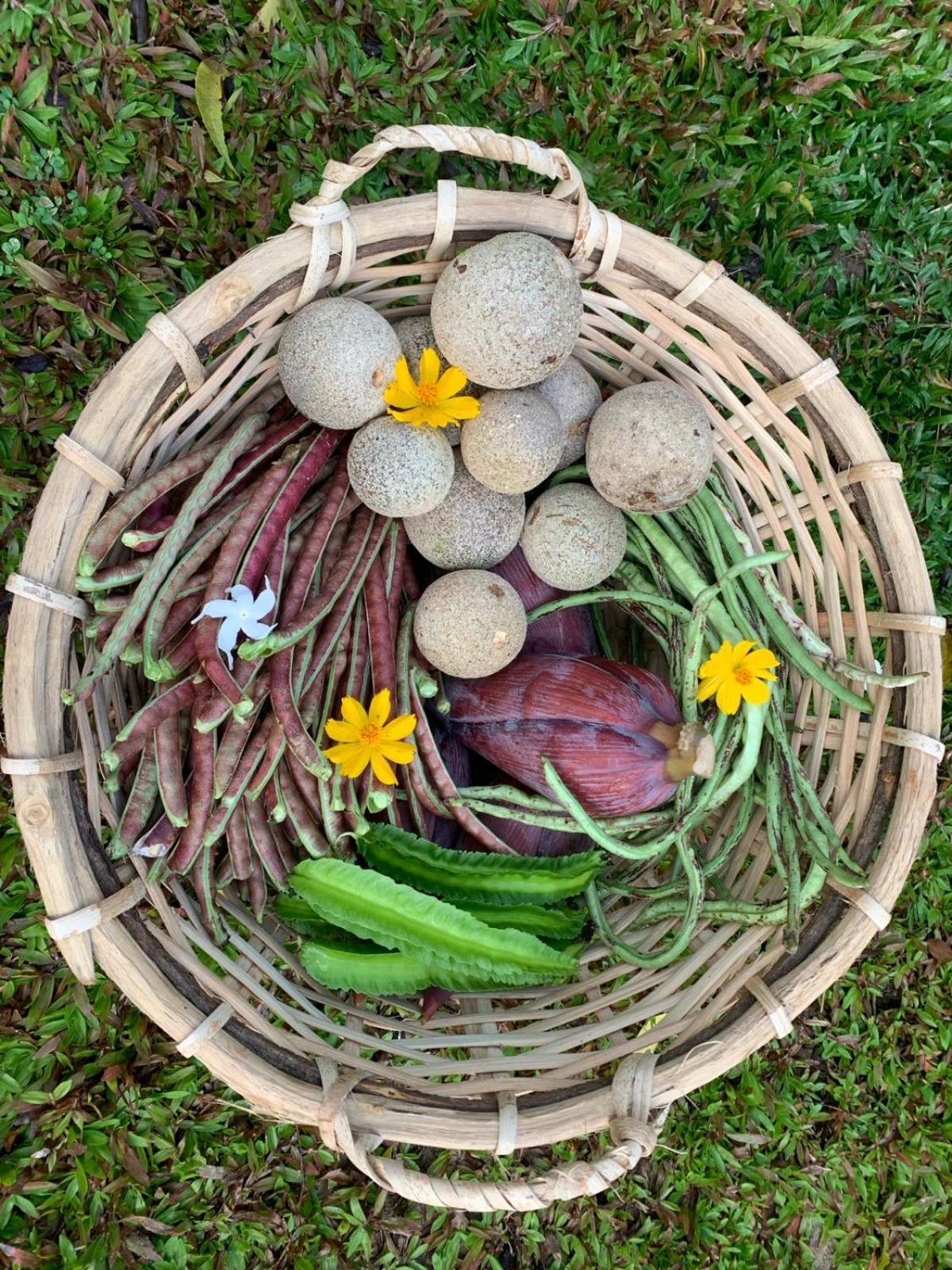 Sahana Retreat Buttala Luaran gambar