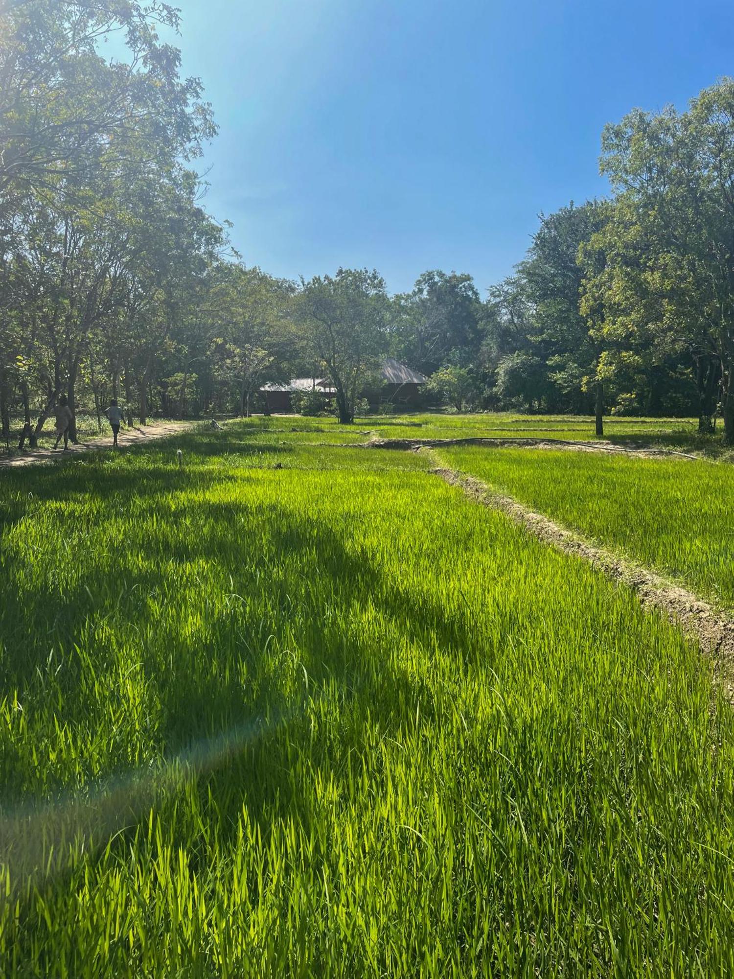 Sahana Retreat Buttala Luaran gambar