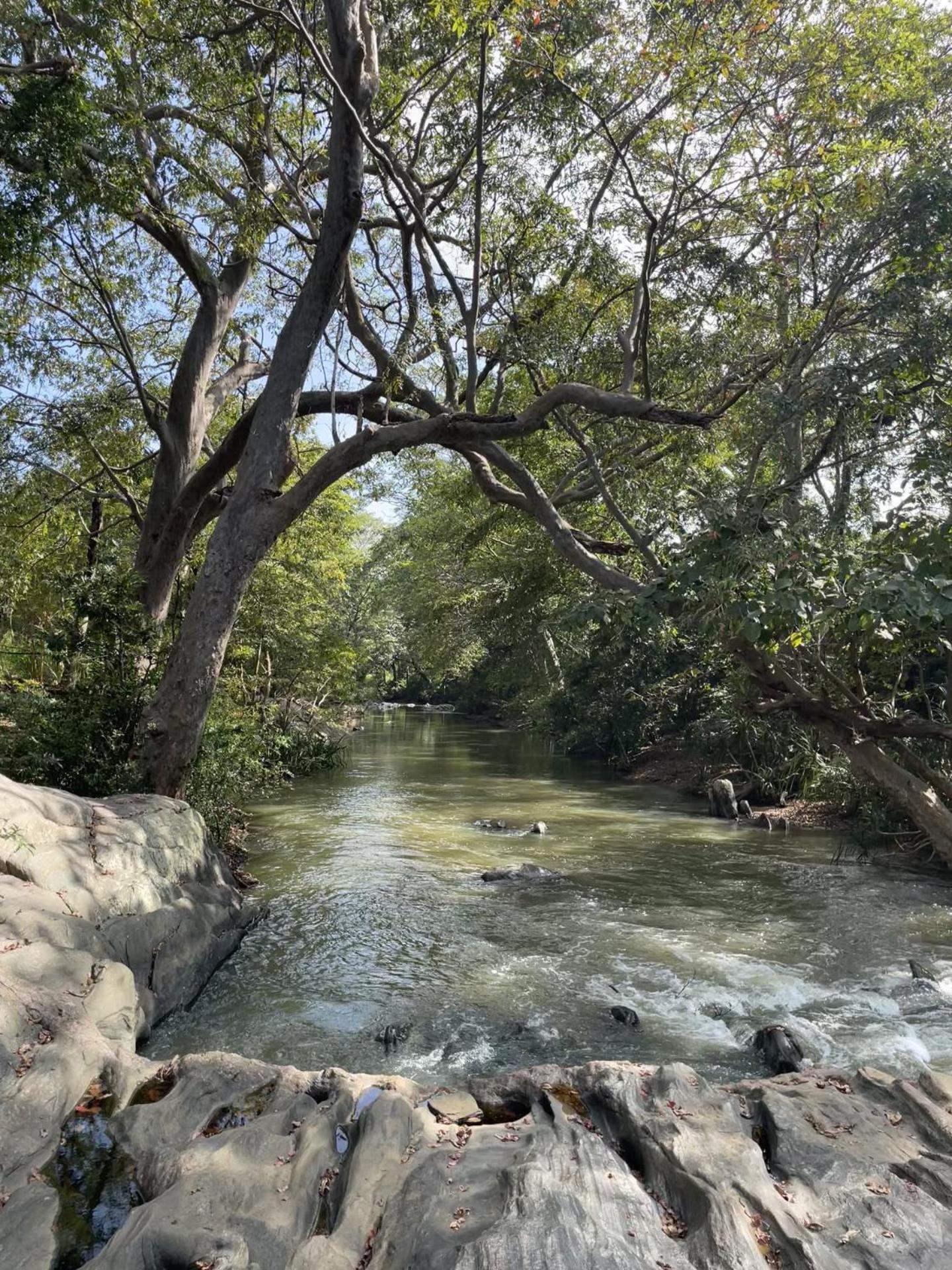 Sahana Retreat Buttala Luaran gambar