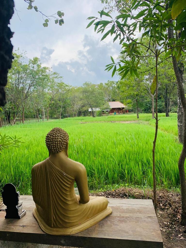 Sahana Retreat Buttala Luaran gambar