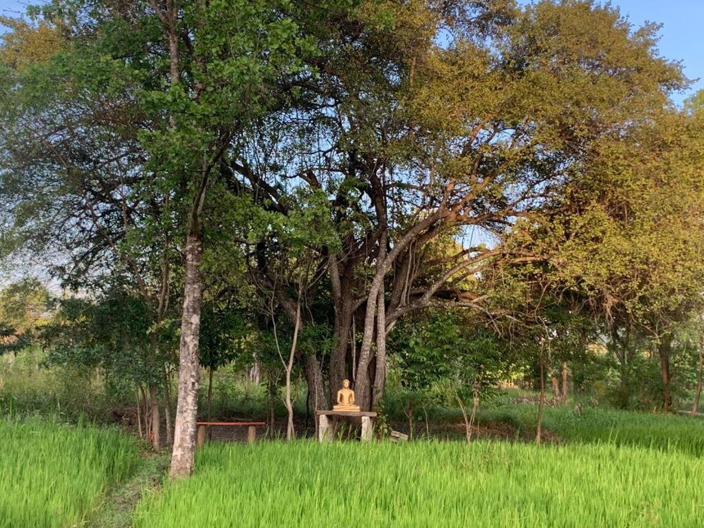 Sahana Retreat Buttala Luaran gambar