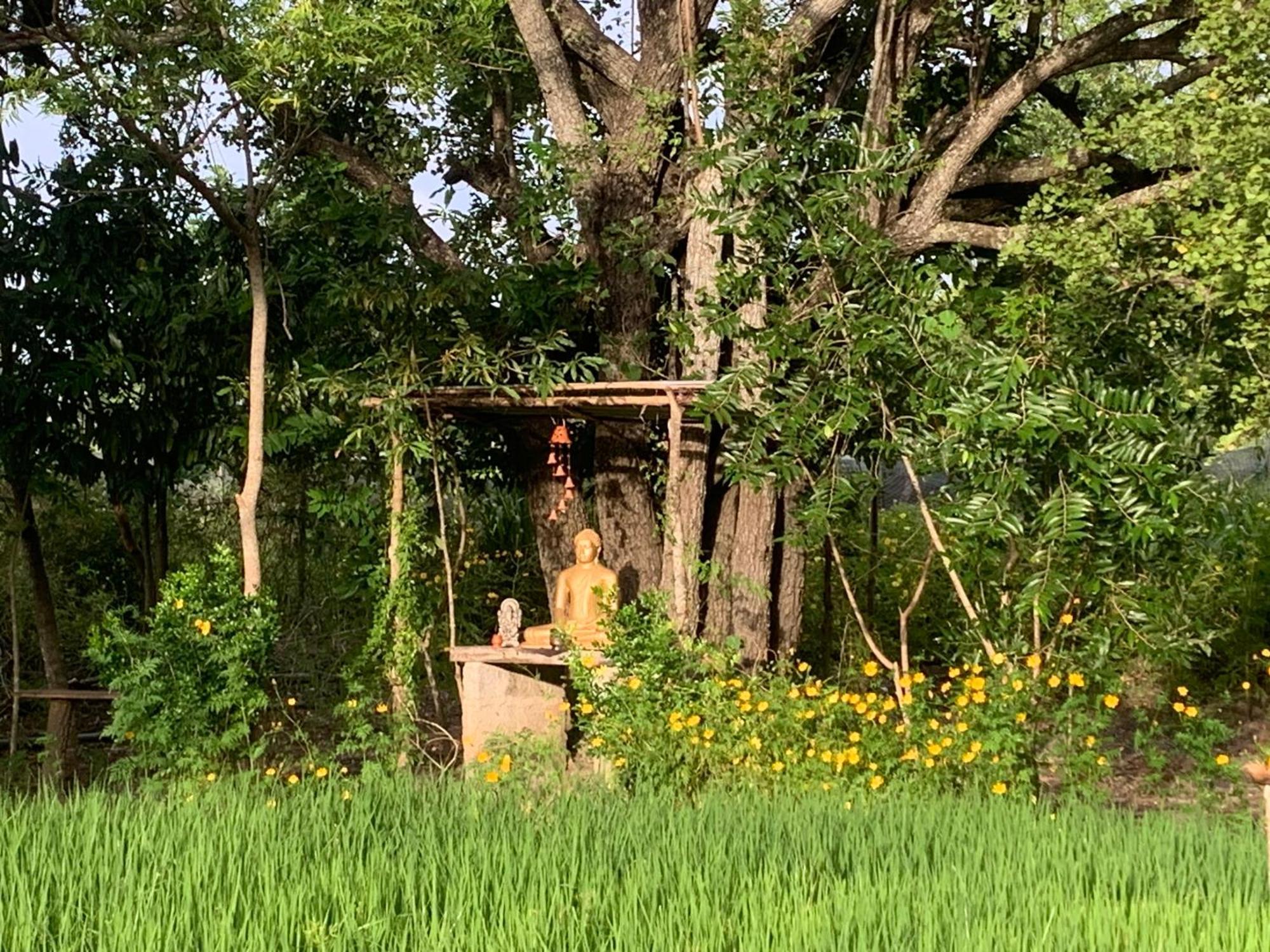 Sahana Retreat Buttala Luaran gambar
