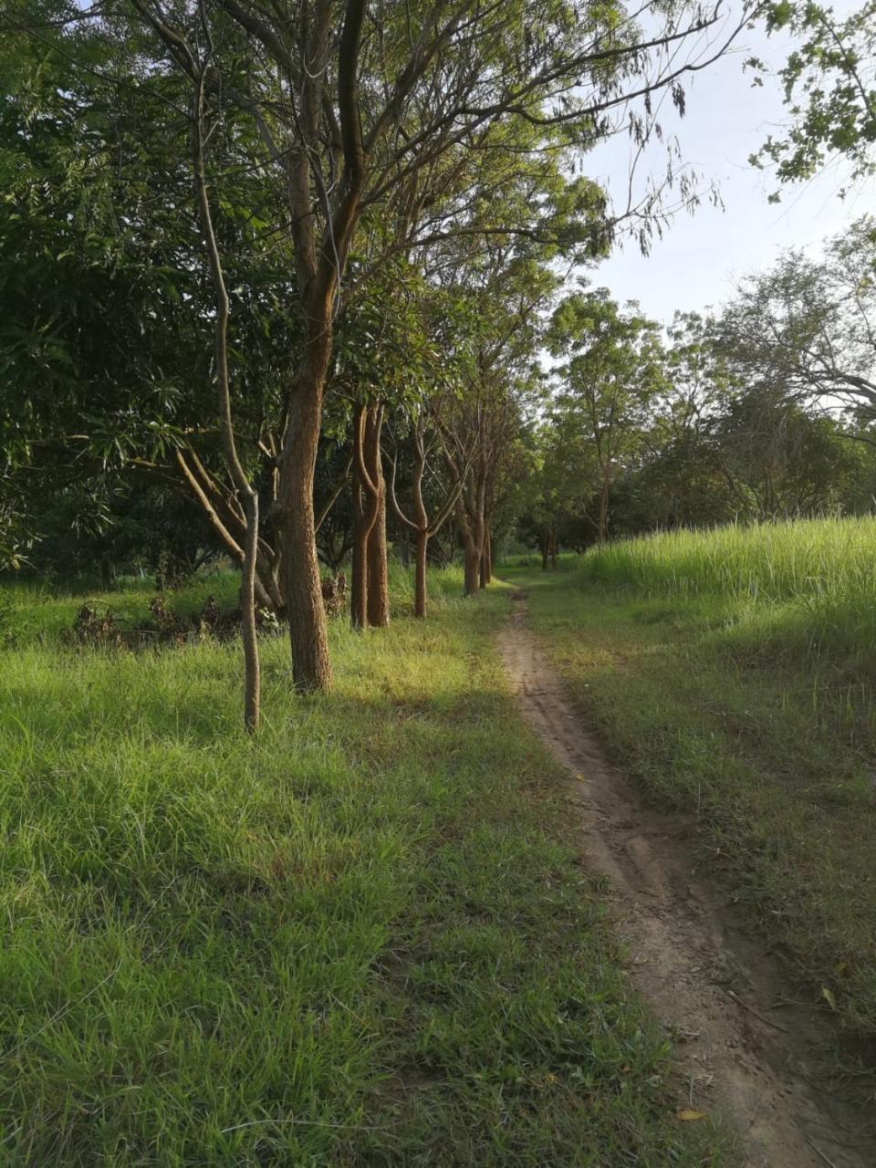 Sahana Retreat Buttala Luaran gambar